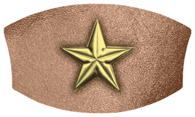 DNSWILL 430 GD BZ Star Gold Bronze